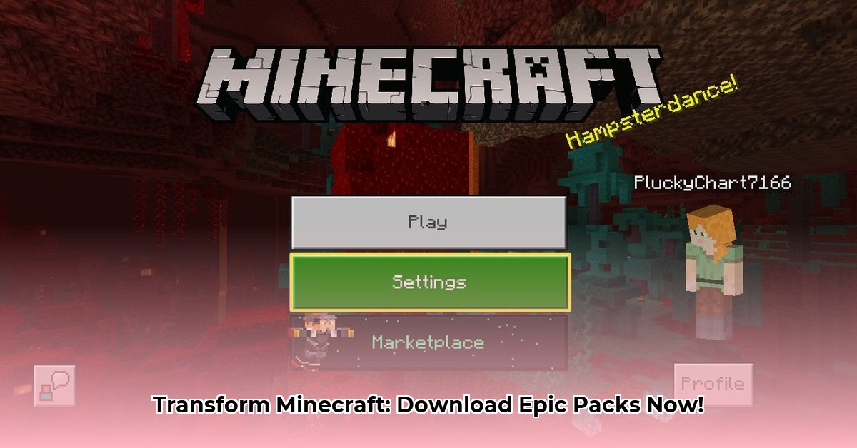 minecraft-download-resource-packs